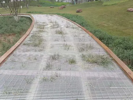 Laluan Taman 1